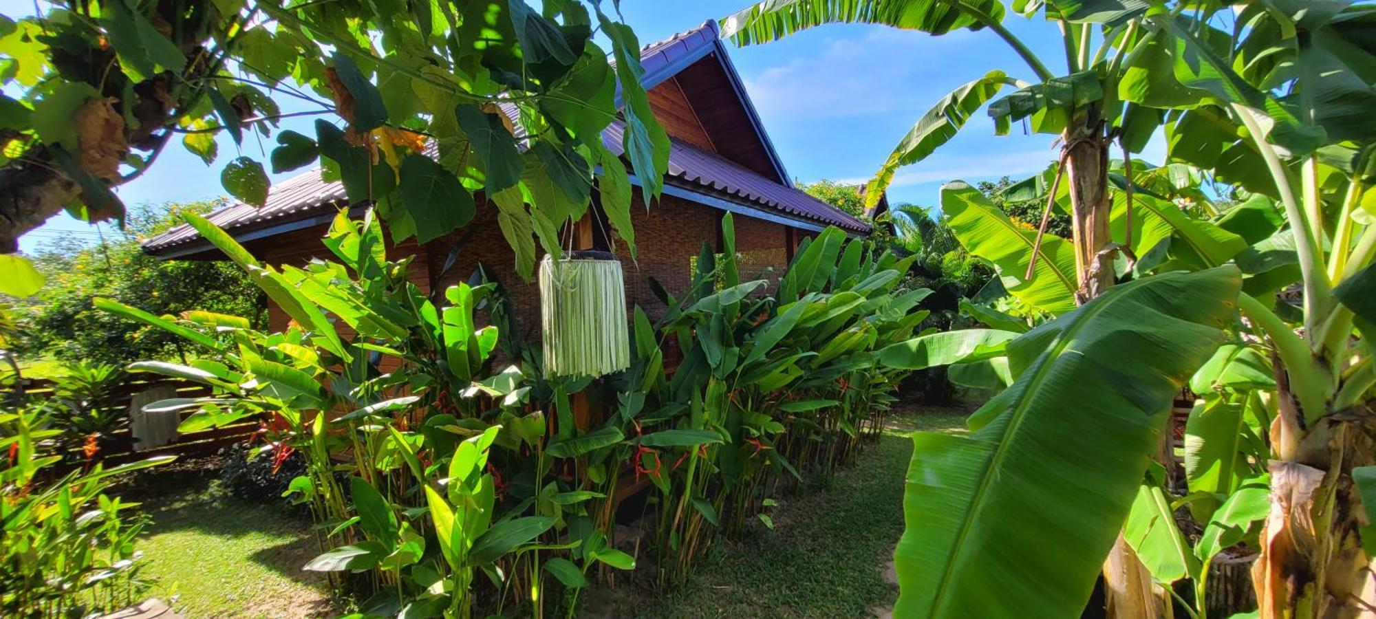 Bed and Breakfast Samui Blue Bird Маенам Экстерьер фото